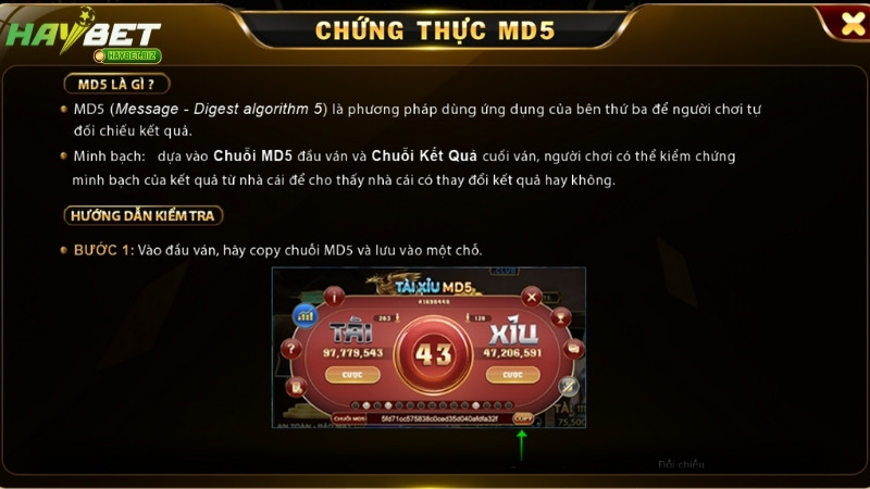 Cách hoạt động của tài xỉu MD5 HAYBET dễ hiểu cho người mới Cách hoạt động của tài xỉu MD5 HAYBET dễ hiểu cho người mới
