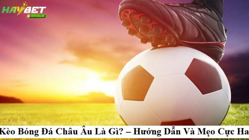 Hướng dẫn cách chơi kèo Châu Âu HAYBET dễ hiểu cho người mới Hướng dẫn cách chơi kèo Châu Âu HAYBET dễ hiểu cho người mới