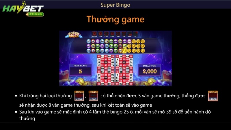 Các quy tắc cần nhớ trong Super Bingo HayBet Các quy tắc cần nhớ trong Super Bingo HayBet